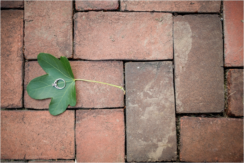 Engagement Photos by Lumberton NJ Wedding Photographers